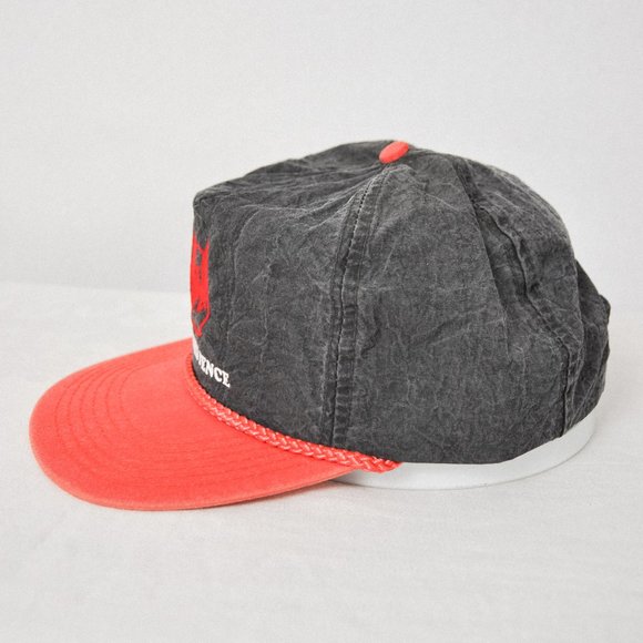 Vintage Nylon Phoenix Fence Snapback Hat - Picture 2 of 5
